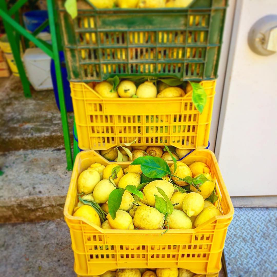 Baskets of Amalfitan Lemons, Amalfi Lemon Tour - Living Amalfi